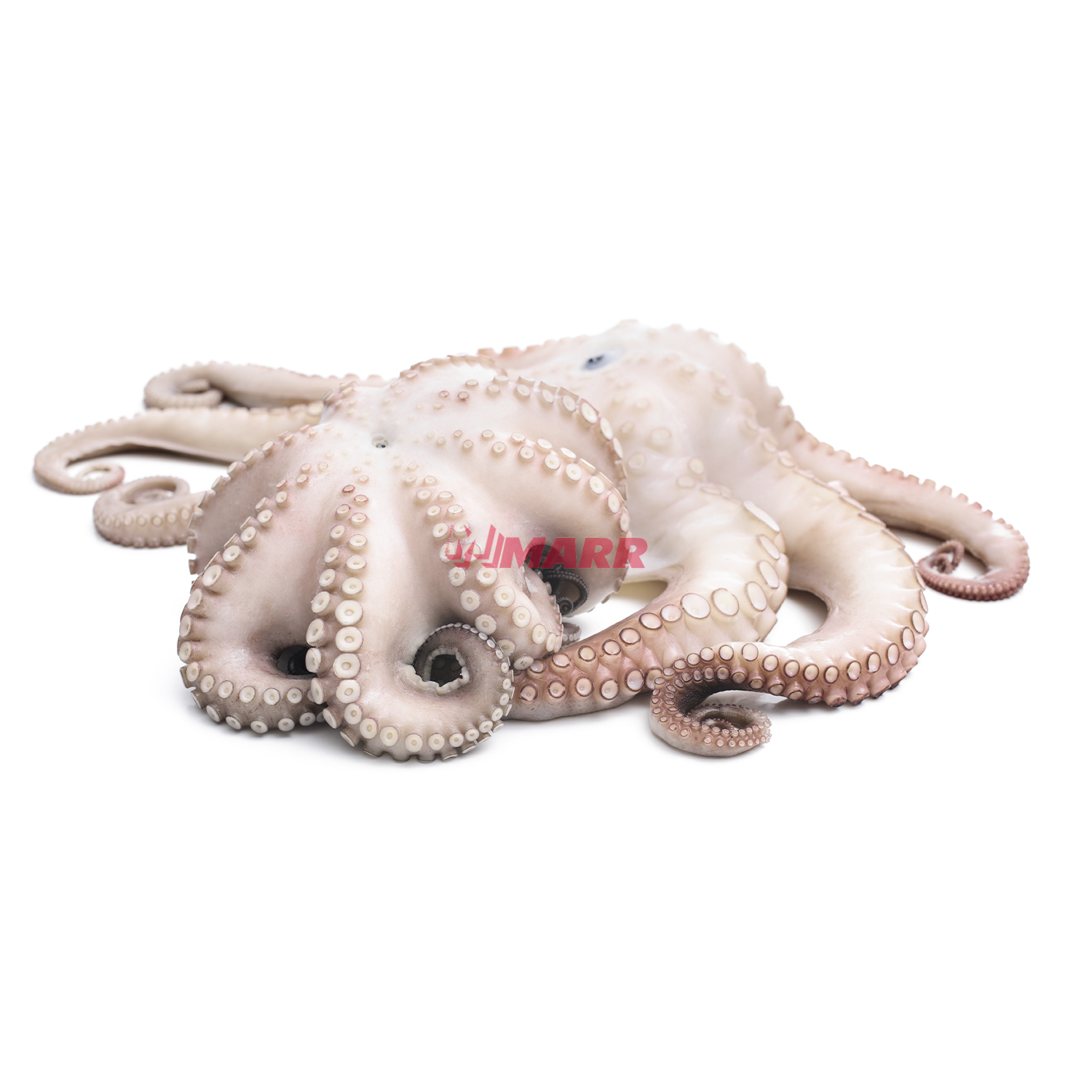 Polpo 1000/2000 g (IDN) IQF JUSTFISH
