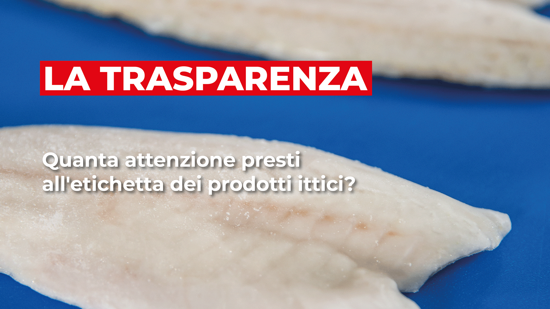 MARR:  la trasparenza in MARR