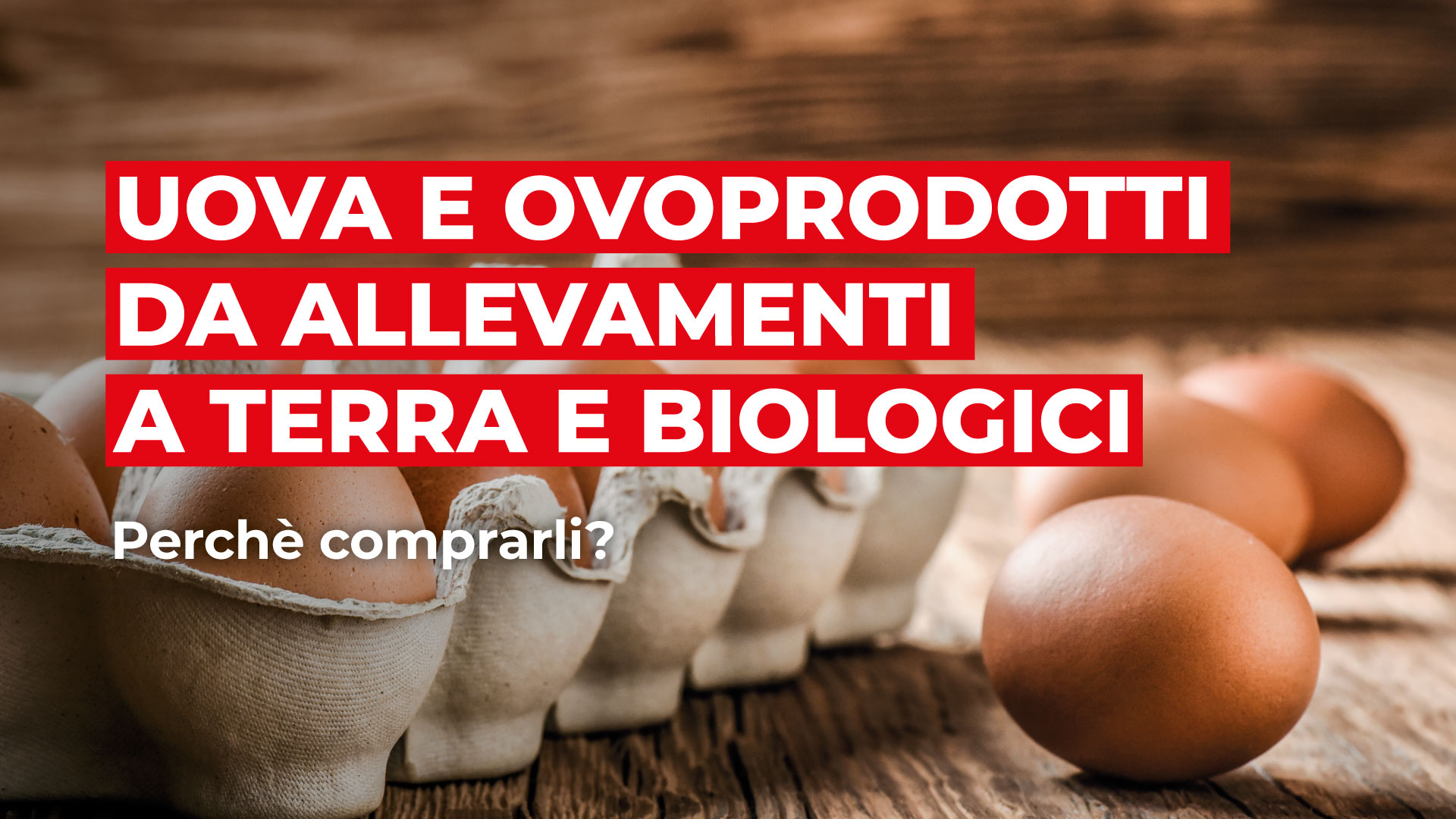 MARR: Uova e Ovoprodotti da allevamenti a terra e biologici 