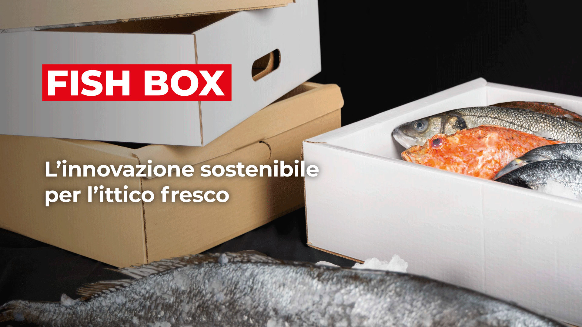 MARR: Il Nuovo Packaging Pratico e Sostenibile per il Confezionamento dell'Ittico Fresco