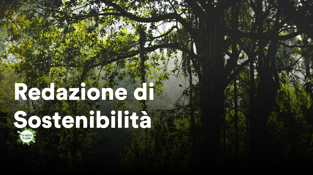 MARR: Redazione Sostenibilità