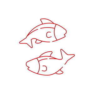 TARTARE SALMONE 80 g S/V(JDC)C