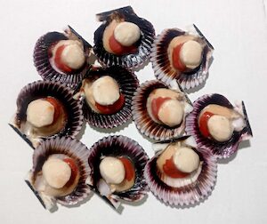 Cappasanta del Pacifico Mezzo Guscio 30/45 g 950g Congelata